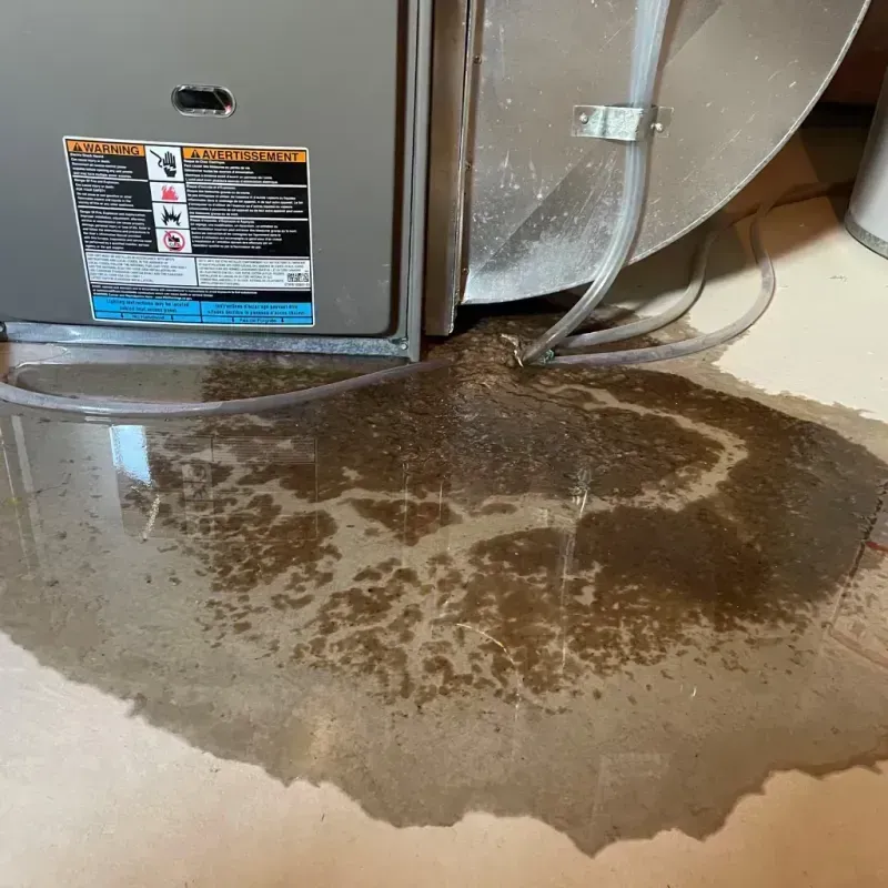 Appliance Leak Cleanup in West Unity, OH